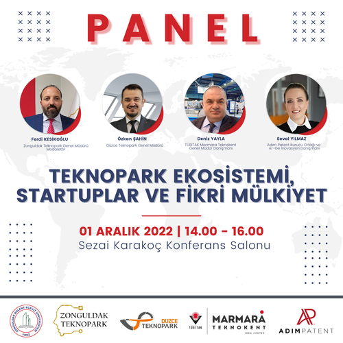 Teknopark Ekosistemi, Startuplar ve Fikri Mülkiyet